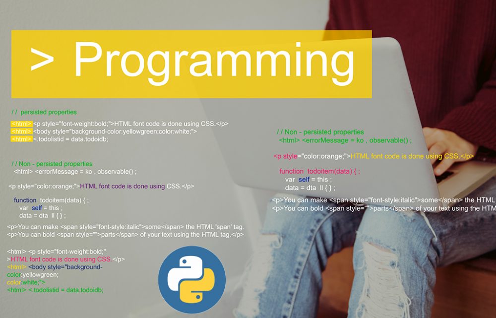 Neden Python Programlama Dili? | Work With Digital